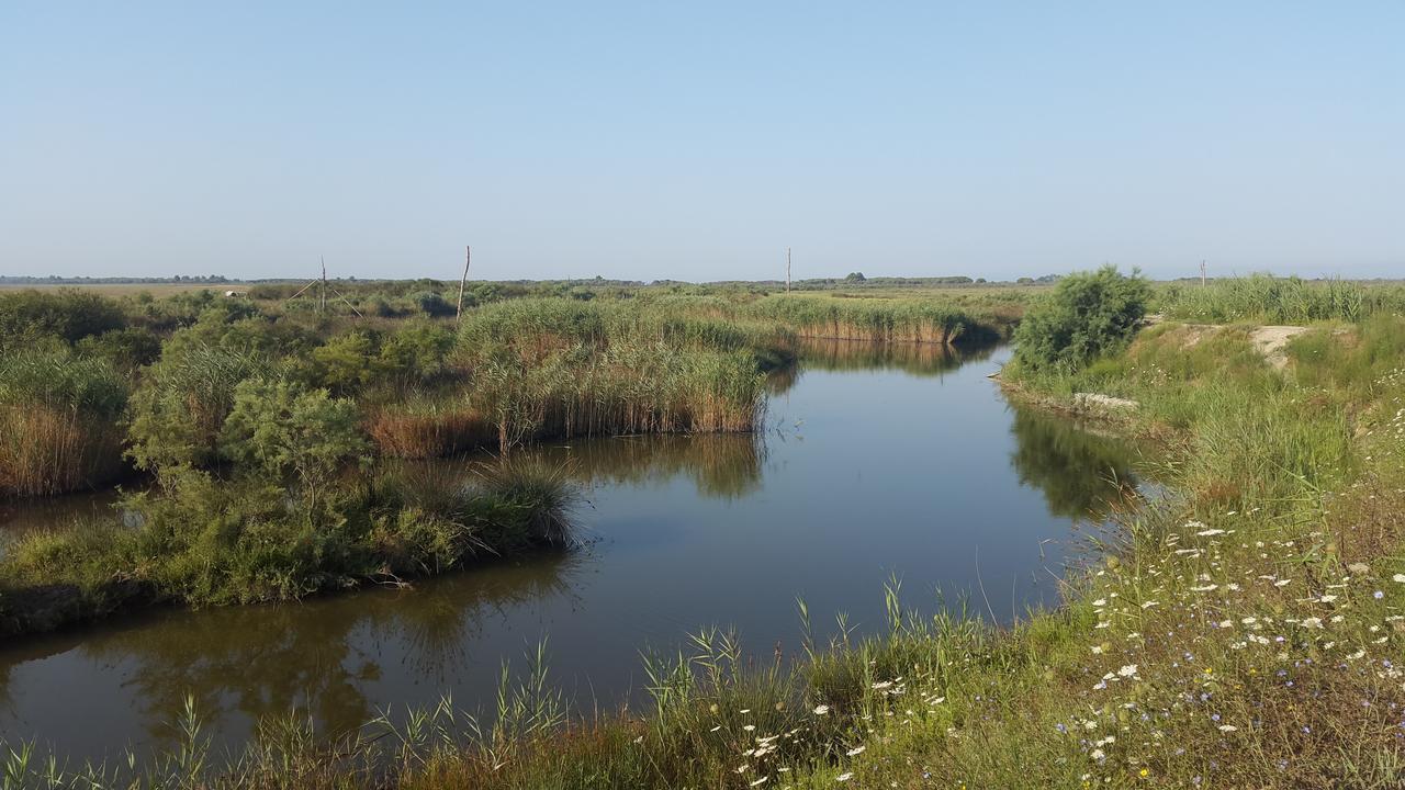 Villa "Green Paradise" Divjaka Kültér fotó